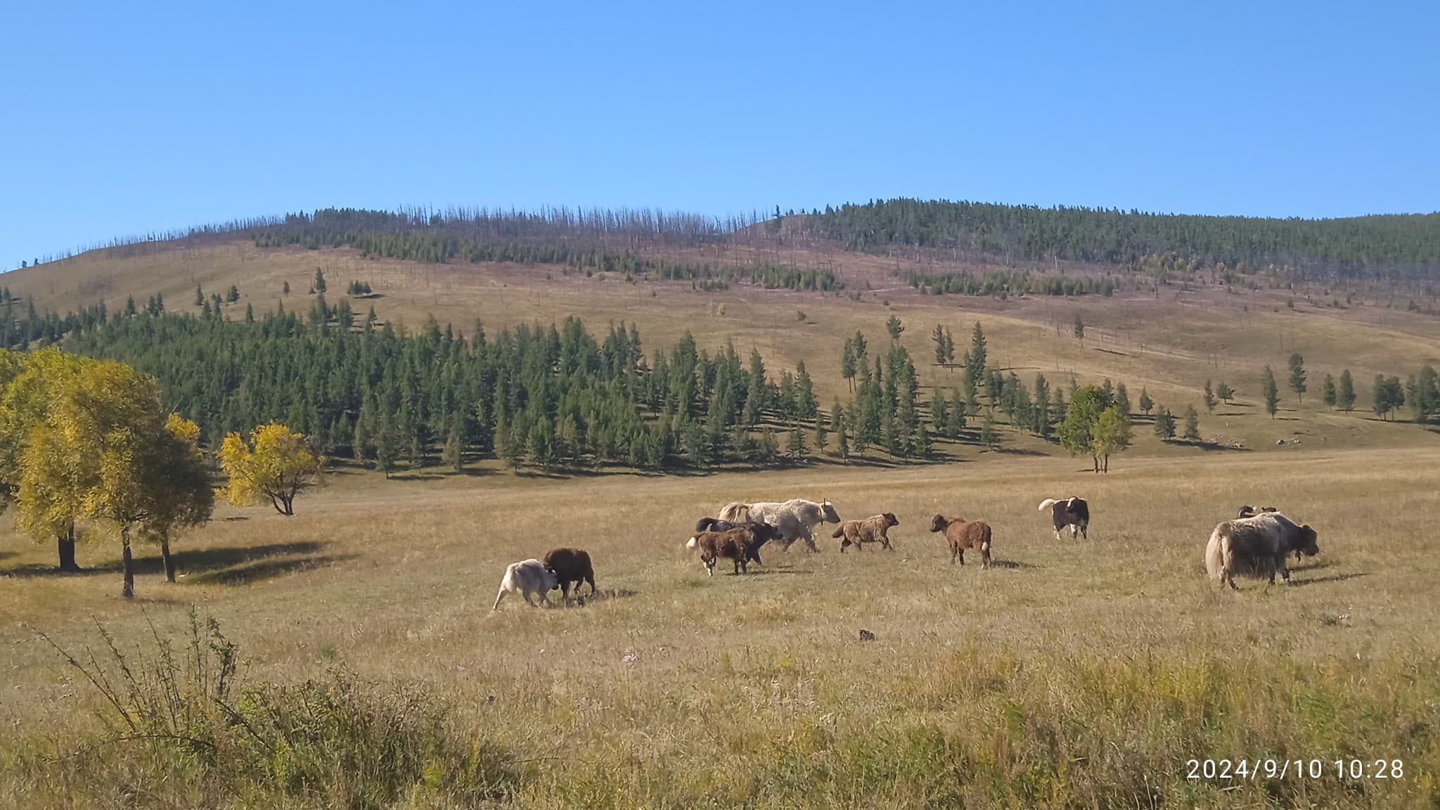 Short Trip: 3-Day Trip eastwards